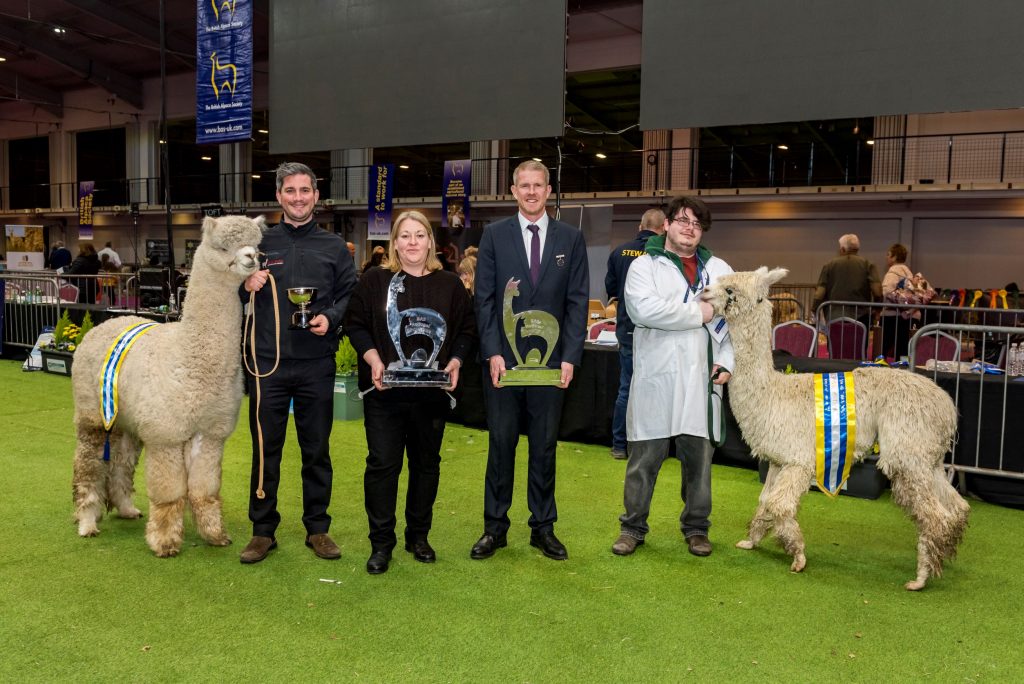 British Alpaca Society BAS National Show